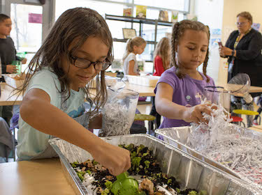 Students gardening